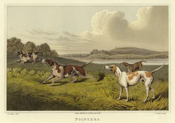Zeiger (Chromolithographie)